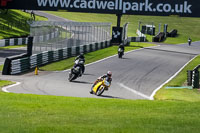 cadwell-no-limits-trackday;cadwell-park;cadwell-park-photographs;cadwell-trackday-photographs;enduro-digital-images;event-digital-images;eventdigitalimages;no-limits-trackdays;peter-wileman-photography;racing-digital-images;trackday-digital-images;trackday-photos